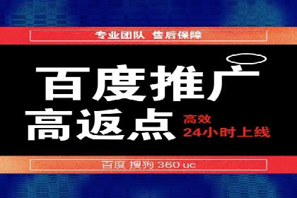 成功SEM托管案例：流量与转化双赢